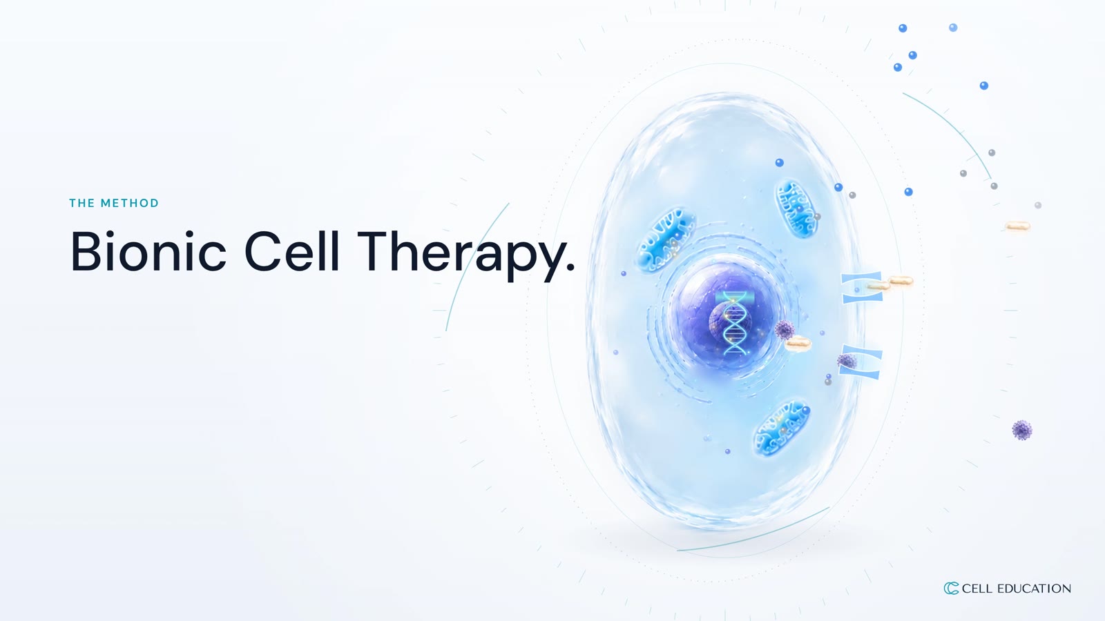 Bionic Cell Therapy, kurz erklärt